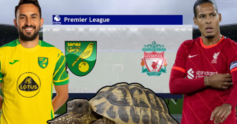Thần rùa tiên tri dự đoán Norwich vs Liverpool | Ngoại hạng Anh | 23h30 ngày 14/8/2021