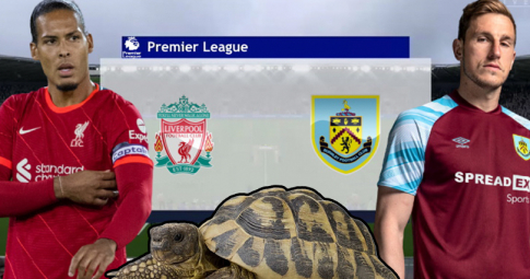 Thần rùa tiên tri dự đoán Liverpool vs Burnley | Ngoại hạng Anh | 18h30 ngày 21/8/2021