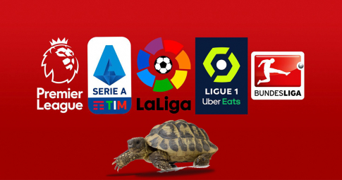 Rùa tiên tri dự đoán bóng đá hôm nay [Ngoại hạng Anh - Serie A - La Liga -Ligue 1- Bundesliga]