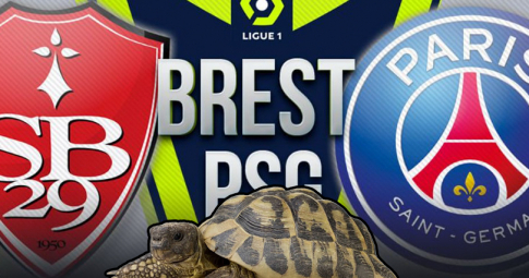 Thần rùa tiên tri dự đoán Brest vs PSG | Ligue 1 | 02h00 ngày 21/8/2021