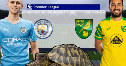 Thần rùa tiên tri dự đoán Man City vs Norwich | Ngoại hạng Anh | 21h00 ngày 21/8/2021