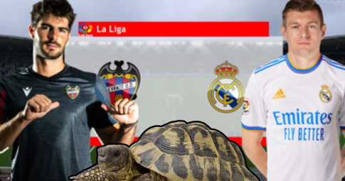 Thần rùa tiên tri dự đoán Levante vs Real Madrid | La Liga | 03h00 ngày 23/8/2021