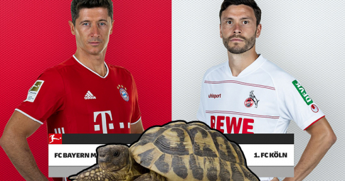 Thần rùa tiên tri dự đoán Bayern vs Koln | Bundesliga | 22h30 ngày 22/8/2021