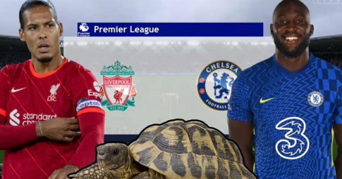 Thần rùa tiên tri dự đoán Liverpool vs Chelsea | Ngoại Hạng Anh | 23h30 ngày 28/8/2021
