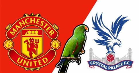 Thần vẹt tiên tri dự đoán Man United vs Crystal Palace | Ngoại hạng Anh | 21h00 ngày 5/12/2021