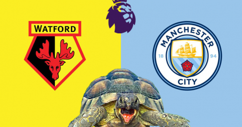 Thần rùa tiên tri dự đoán Watford vs Man City | Ngoại hạng Anh | 00h30 ngày 5/12/2021