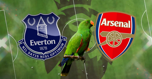 Thần vẹt tiên tri dự đoán Everton vs Arsenal | Ngoại hạng Anh | 3h00 ngày 7/12/2021