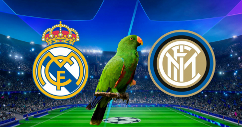 Thần vẹt tiên tri dự đoán Real Madrid vs Inter | Champions League | 3h00 ngày 8/12/2021
