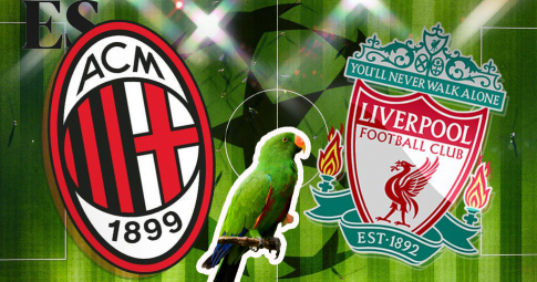Thần vẹt tiên tri dự đoán Milan vs Liverpool | Champions League | 3h00 ngày 8/12/2021