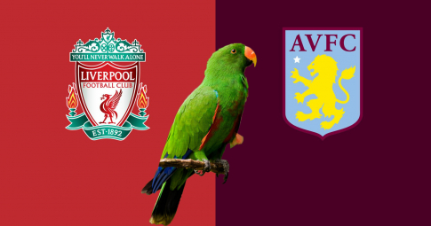 Thần vẹt tiên tri dự đoán Liverpool vs Aston Villa | Ngoại hạng Anh | 22h00 ngày 11/12/2021