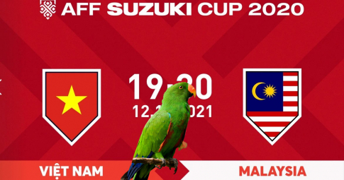 Thần vẹt tiên tri dự đoán Việt Nam vs Malaysia | AFF Cup 2020 | 19h30 ngày 12/12/2021