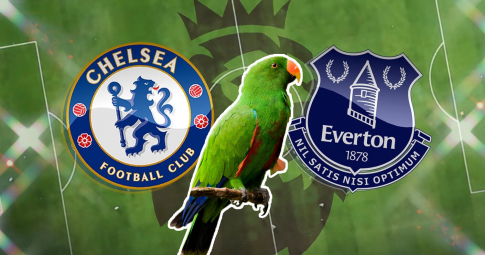 Thần vẹt tiên tri dự đoán Chelsea vs Everton | Ngoại hạng Anh | 2h45 ngày 17/12/2021