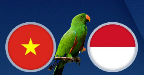 Thần vẹt tiên tri dự đoán Indonesia vs Việt Nam | AFF Cup | 19h30 ngày 15/12/2021