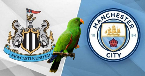Thần vẹt tiên tri dự đoán Newcastle vs Man City | Ngoại hạng Anh | 21h00 ngày 19/12/2021