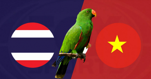 Thần vẹt tiên tri dự đoán Thái Lan vs Việt Nam | AFF Cup | 19h30 ngày 26/12/2021