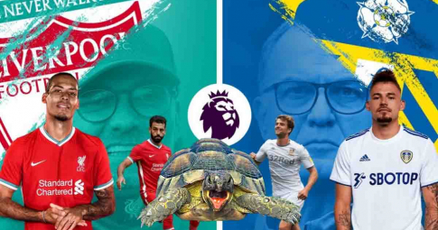 Thần rùa tiên tri dự đoán Liverpool vs Leeds | Ngoại hạng Anh | 19h30 ngày 26/12/2021