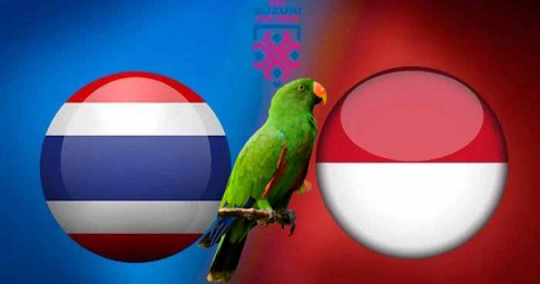 Thần vẹt tiên tri dự đoán Indonesia vs Thái Lan | Chung kết lượt đi AFF Cup 2020 | 19h30 ngày 29/12/2021
