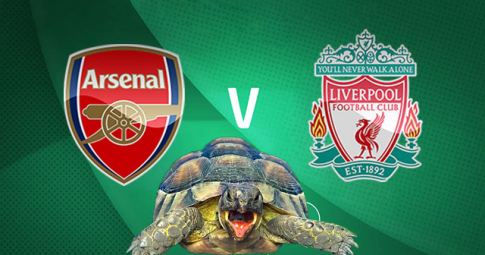 Thần rùa tiên tri dự đoán Arsenal vs Liverpool | 2021–22 EFL Cup | 2h45 ngày 7/1/2021