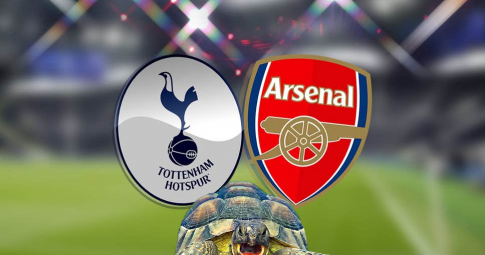 Thần rùa tiên tri dự đoán Tottenham vs Arsenal | Ngoại hạng Anh | 23h30 ngày 16/1/2021