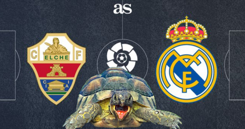 Thần rùa tiên tri dự đoán Real Madrid vs Elche CF | La Liga | 22h15 ngày 23/1/2021