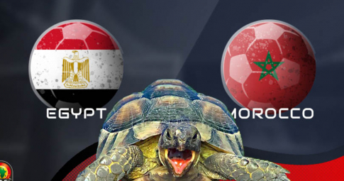 Thần rùa tiên tri dự đoán Ai Cập vs Morocco | Cúp bóng đá châu Phi | 22h00 ngày 30/1/2022
