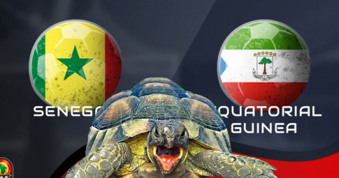 Thần rùa tiên tri dự đoán Senegal vs Guinea Xích đạo | Cúp bóng đá châu Phi | 2h00 ngày 31/1/2022
