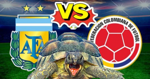 Thần rùa tiên tri dự đoán Argentina vs Colombia | Vòng loại World Cup 2022 khu vực châu Mỹ | 6h30 ngày 2/2/2022