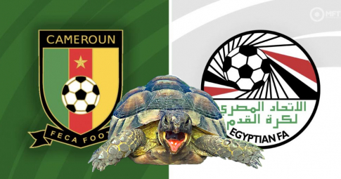 Thần rùa tiên tri dự đoán Cameroon vs Egypt | Cúp Châu Phi | 2h00 ngày 4/2/2022