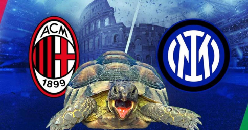Thần rùa tiên tri dự đoán Inter Milan vs AC Milan | Lega Serie A | 00h00 ngày 6/2/2022