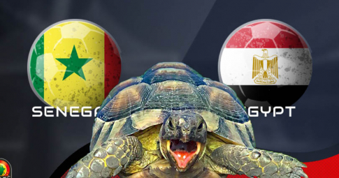 Thần rùa tiên tri dự đoán Senegal vs Egypt | Cúp Châu Phi | 2h00 ngày 7/2/2022