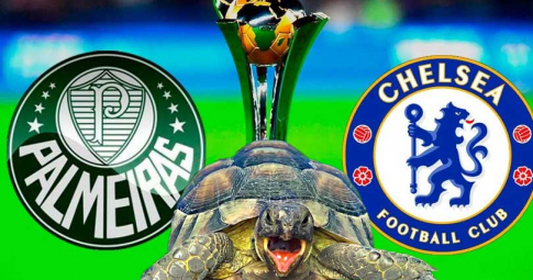 Thần rùa tiên tri dự đoán Chelsea vs Palmeiras | Club World Cup | 23h30 ngày 12/2/2022