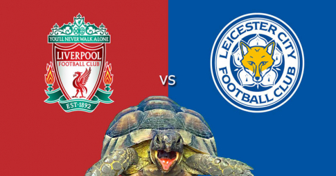 Thần rùa tiên tri dự đoán Liverpool vs Leicester | Ngoại hạng Anh | 2h45 ngày 11/2/2022