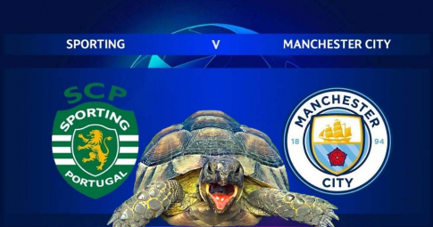 Thần rùa tiên tri dự đoán Sporting CP vs Man City | UEFA Champions League | 3h00 ngày 16/2/2022