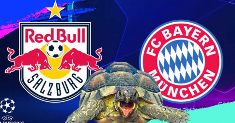 Thần rùa tiên tri dự đoán Red Bull Salzburg vs Bayern München | UEFA Champions League | 3h00 ngày 17/2/2022