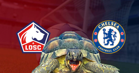 Thần rùa tiên tri dự đoán Chelsea vs LOSC Lille | UEFA Champions League | 3h00 ngày 23/2/2022