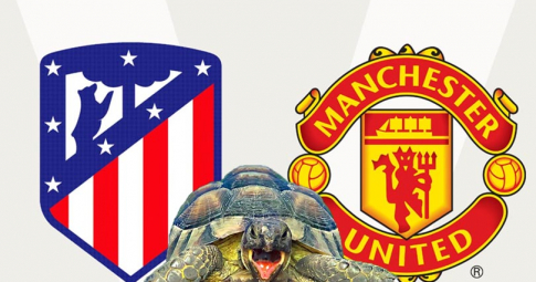 Thần rùa tiên tri dự đoán Atletico Madrid vs Man United | UEFA Champions League | 3h00 ngày 24/2/2022