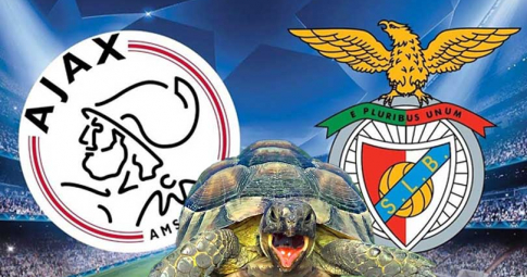 Thần rùa tiên tri dự đoán Benfica vs Ajax | UEFA Champions League | 3h00 ngày 24/2/2022
