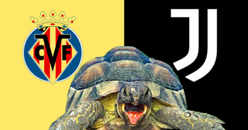 Thần rùa tiên tri dự đoán Villareal vs Juventus | UEFA Champions League 2022 | 3h00 ngày 23/2/2022