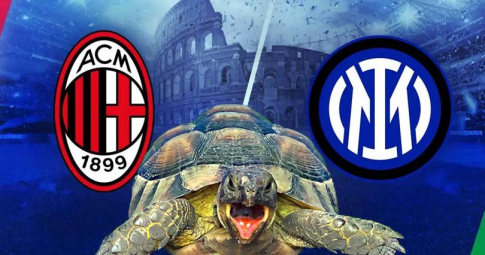 Thần rùa tiên tri dự đoán Ac Milan vs Inter Milan | Coppa Italia | 3h00 ngày 2/3/2022