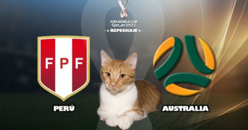 Thần mèo tiên tri dự đoán Australia vs Peru | Play-Off World Cup 2022 liên lục địa | 01h00 ngày 14/6/2022