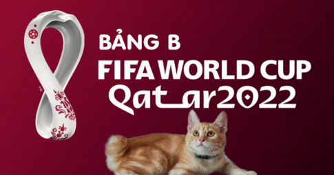 Thần mèo tiên tri dự đoán bảng B - Vòng bảng World Cup 2022