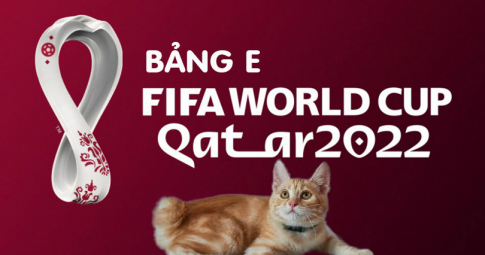Thần mèo tiên tri dự đoán bảng E - Vòng bảng World Cup 2022