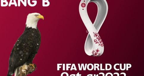 Đại bàn tiên tri dự đoán bảng B - Vòng bảng World Cup 2022