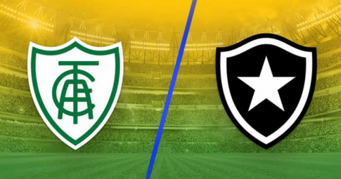 Highlight Botafogo vs América Mineiro, Giải cúp bóng đá Brazil, 07h00 ngày 15/7