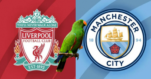 Thần vẹt tiên tri dự đoán Liverpool vs Manchester City | Siêu Cúp Anh | 23h00 ngày 30/7/2022