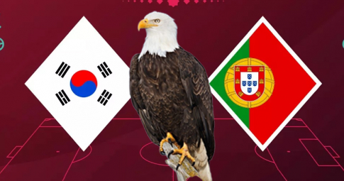 Đại bàn tiên tri dự đoán Hàn Quốc vs Bồ Đào Nha | World Cup | 22h00 ngày 02/12/2022