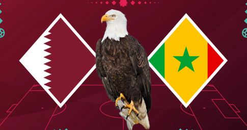Đại bàn tiên tri dự đoán Qatar vs Senegal | World Cup 2022 | 20h00 ngày 25/11/2022