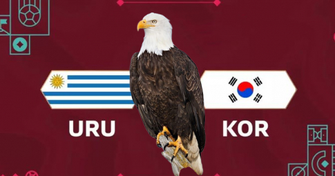 Đại bàn tiên tri dự đoán Uruguay vs Hàn Quốc | World Cup 2022 | 20h00 ngày 24/11/2022