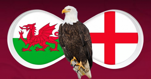 Đại bàn tiên tri dự đoán Xứ Wales vs Anh | World Cup 2022 | 02h00 ngày 30/11/2022