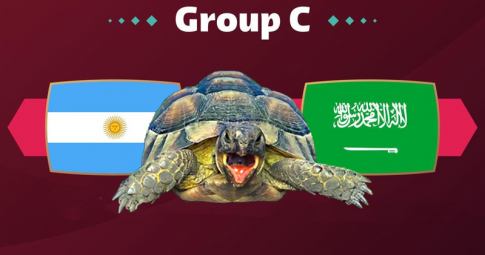 Thần rùa tiên tri dự đoán Argentina vs Ả Rập Xê-út | World Cup 2022 | 17h00 ngày 22/11/2022